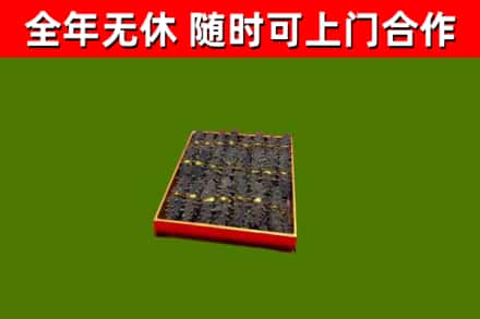 揭阳回收海参